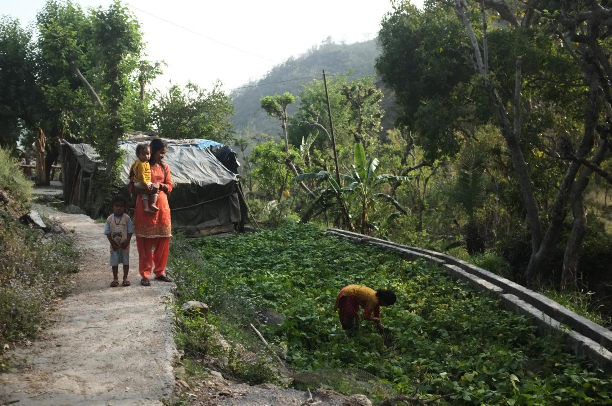 Clan Boho Hostel Rishikesh Ngoại thất bức ảnh